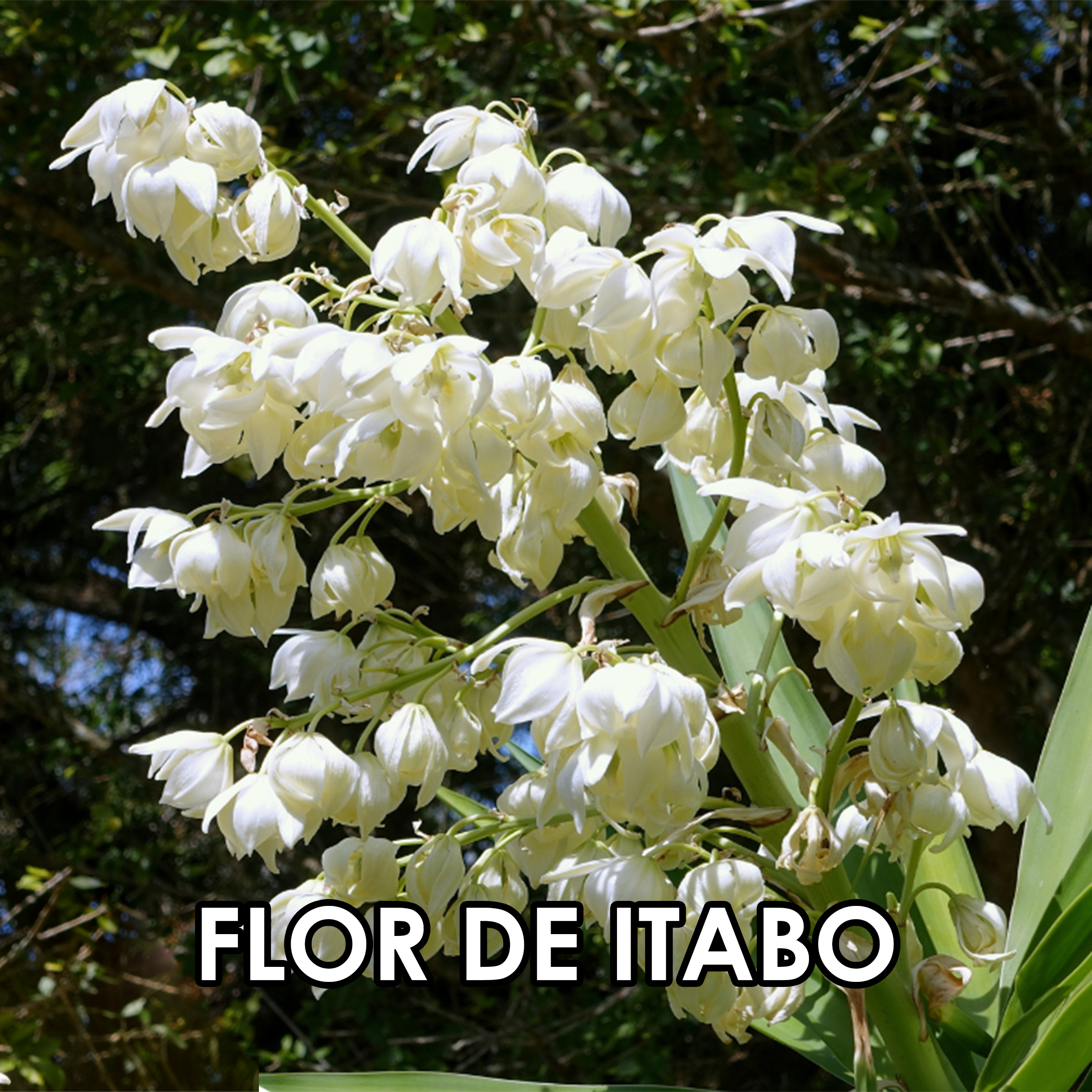Imagen 5