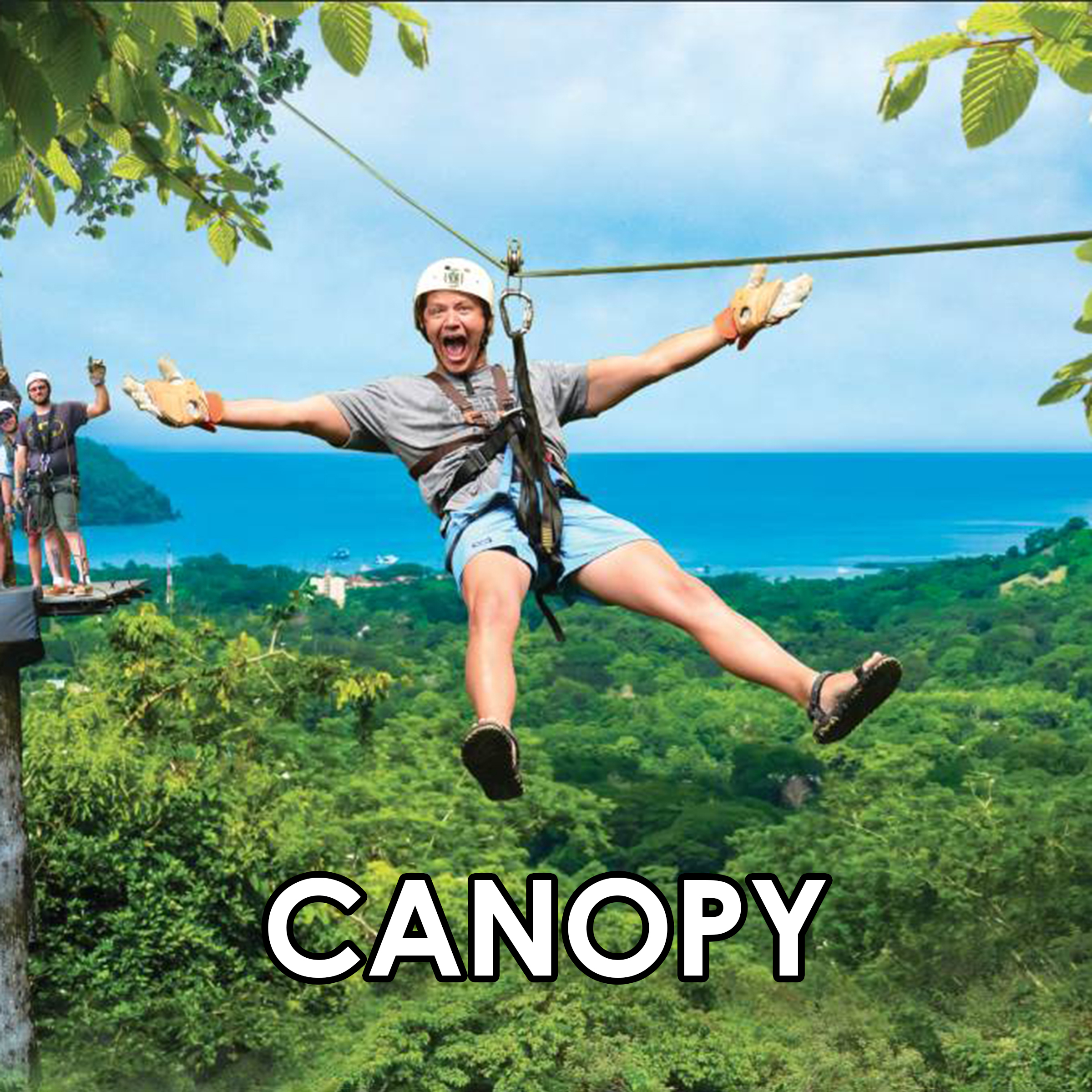 14 Canopy
