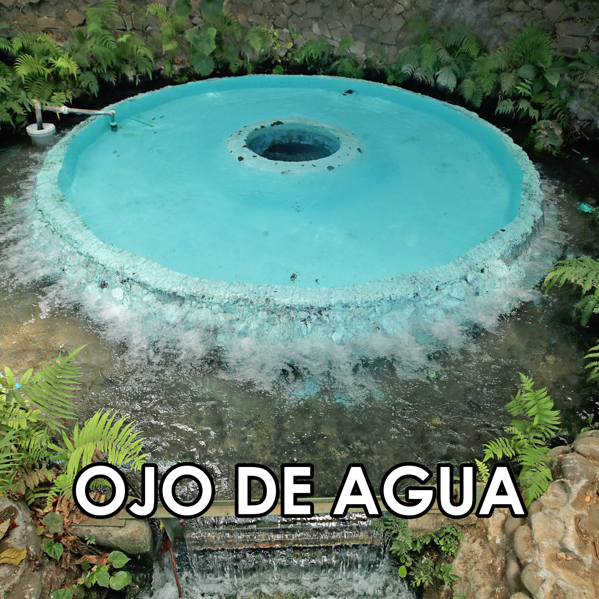 43 Ojo de Agua