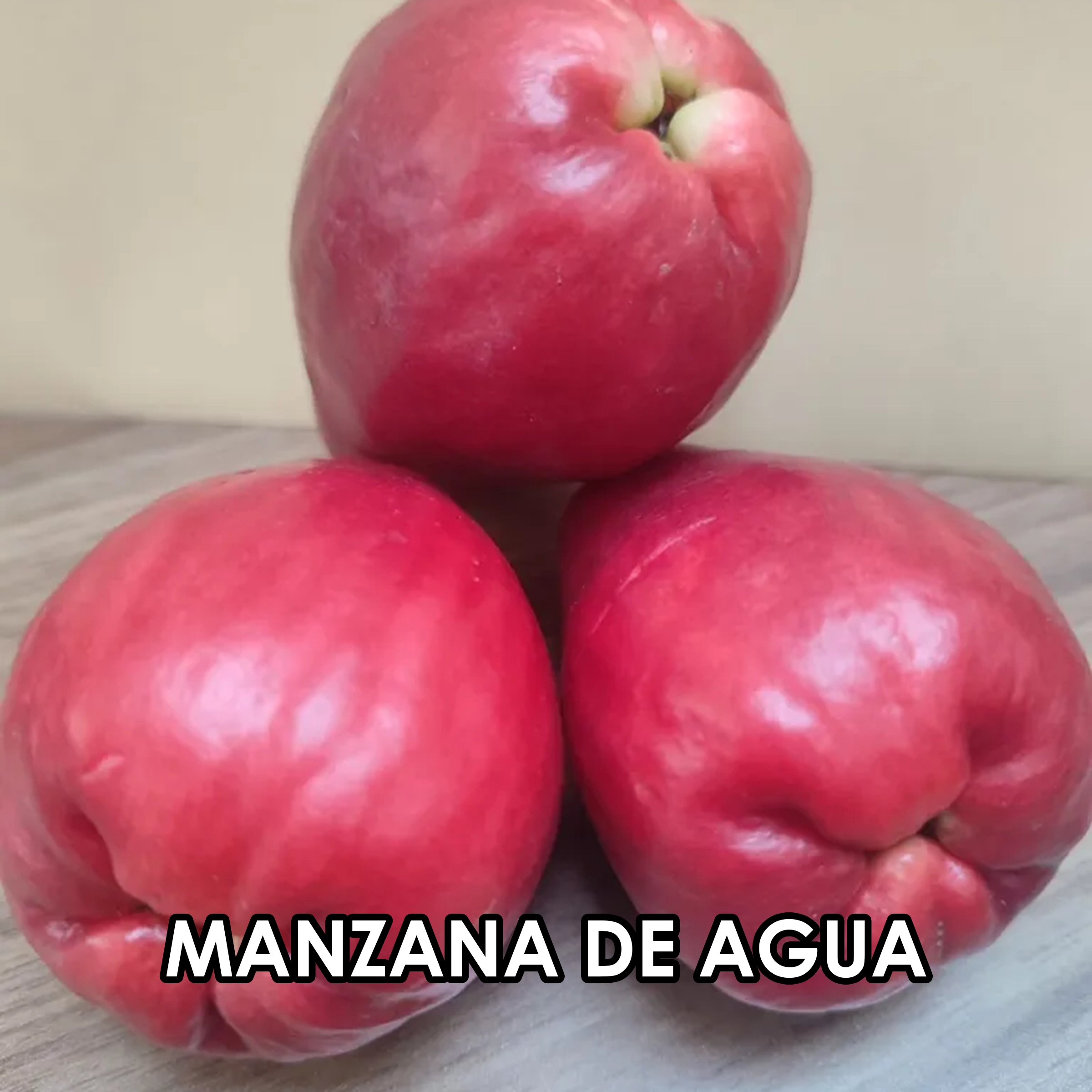 Imagen 58